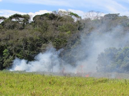 Incendio no contorno