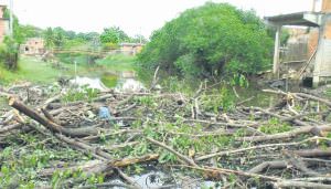 Manguezal devastado para a dragagem do rio em Parque Residencial Jacaraípe