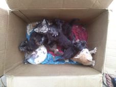 10446345_10204931942088674_936427760102751435_o