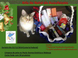 10386737_1507848869496824_6593023170770879292_n