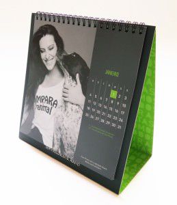 O calendário custa apenas R$ 20, mais o valor do frete. Foto: Divulgação