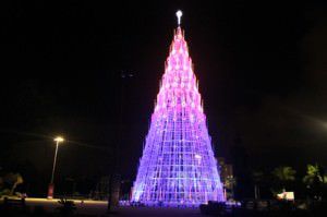 A maior árvore de Natal do Estado pode ser visitada até às 23h de hoje (05). Foto: Divulgação PMS