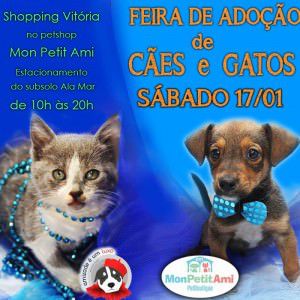 10419596_952393411439257_8836714961689993784_n