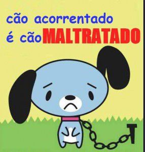 cão acorrentado