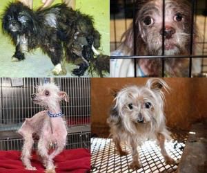 10917293_813496538716918_7993105430584647939_n