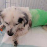 10934107_480848725387353_3933368927234838516_o