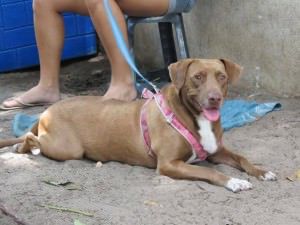 1782035_790159421053686_446202413130227829_n