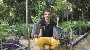 O servidor Leonardo Gusmão passa no viveiro para conferir as mudas. Foto: Fábio Barcelos