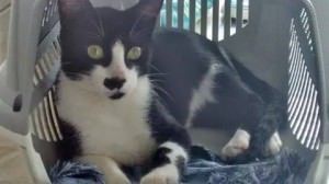 10958710_10202671746789921_5553800595689496946_n