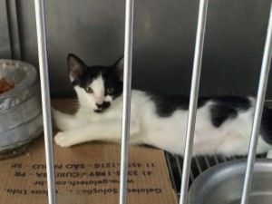 10959512_970987269579871_5850143815756092111_n