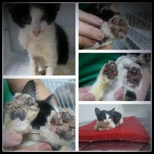 11028377_835990133139176_1654197551_o