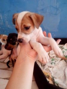 10426783_704542676321340_667234754028298575_n