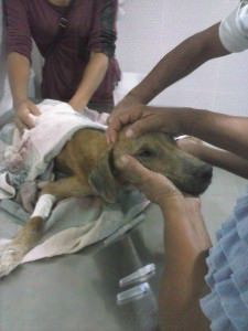 11016125_500195560119998_873830849067518272_o