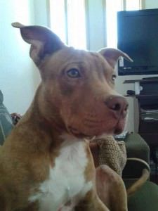 11063504_10205177764876351_9089809758469905927_n