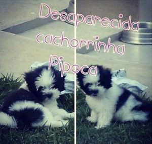 11072830_727754983999763_8647298035499053550_n