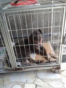 11072862_824898744250914_7597186045099249205_n