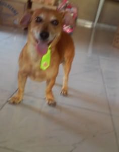 11081016_616865835081147_691204474853820101_n