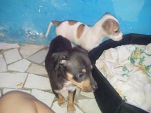 11081264_704542776321330_5242989853914420492_n