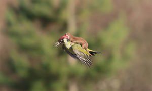 20150303140826726935i