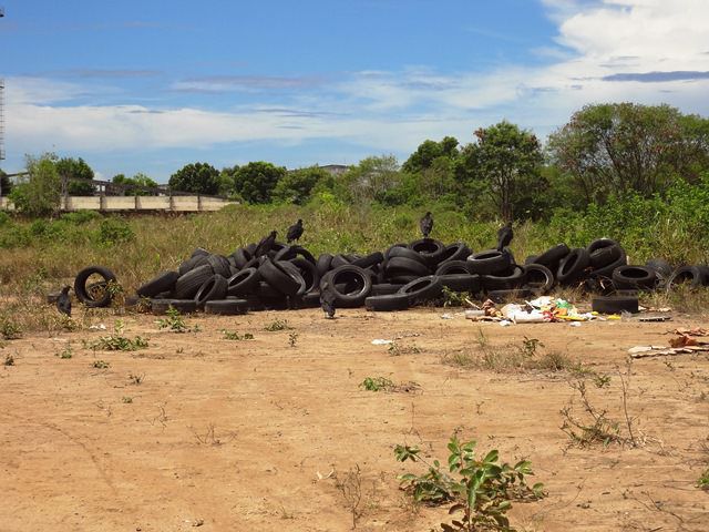 Terreno dos Correios em Laranjeiras vira depósito de lixo. Foto: Fábio Barcelos
