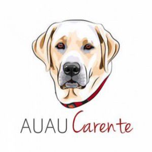 10552546_837130169686936_4794639580247905221_n