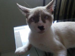 10636307_418556554970272_16889984760059927_n