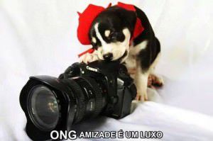 A organização do evento é da ong Amizade é um Luxo e o evento é solidário à causa animal. Foto: Divulgação