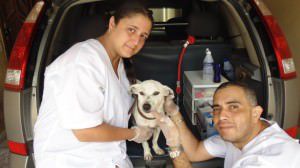 Livia Guimarães e José Netto precisam de ajuda para continuar os animais de rua. Foto: Divulgação