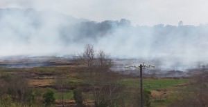 O vento sul está empurrando a fumaça da região do TIMS para os bairros da Serra. Foto: Bruno Lyra 