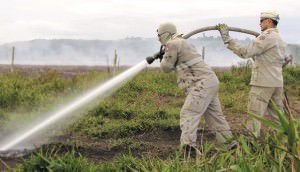 Até água de estação de esgoto de vitória foi usada pelos bombeiros para tentar extinguir o fogo. Foto: Bruno Lyra