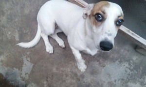 10365356_980004688677941_1003362899928648000_o