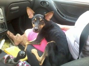 10929065_853701731351579_8576009475890619292_n