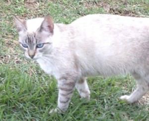 11053633_889966864402867_8096247886904147596_n