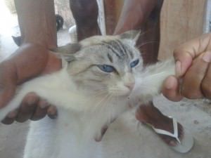 11838577_10204785423896312_6359814250996938251_o