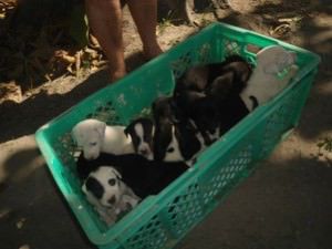 11870802_10207890739726001_8054092239407539914_n