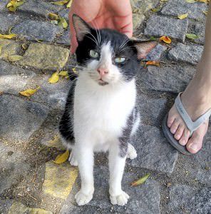 IMG_20150919_111057963_HDR