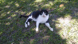 IMG_20150919_112659071