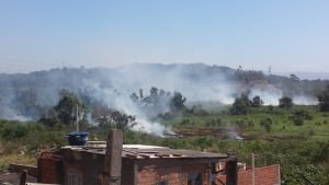 Situação das turfas na última terça (22). Foto: Bruno Lyra