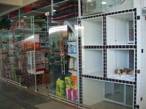 O médico veterinário Douglas Severo, do Conselho Regional de Medicina Veterinária do Espírito Santo (CRMV-ES) vai falar sobre as regras que garantem o bem-estar animal em pet shops. Foto: Divulgação