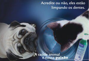 Um dos produtos o Aquadent é uma solução para higiene oral diária de cães e gatos que refresca o hálito, diminuindo o mau odor. Foto: Divulgação
