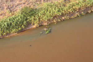 Durante o voo, os deputados perceberam mudanças na coloração da água. Foto: Divulgação