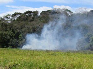 Incêndio nas matas do entorno do sítio histórico de São João de Carapina. Foto: Arquivo TN / Bruno Lyra