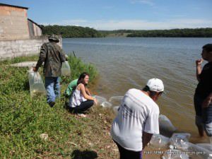 Pescadores alertam que espécies de peixes comuns na lagoa desapareceram. Foto: Divulgação