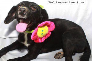 12194542_1131441783534418_2058878337855331774_o