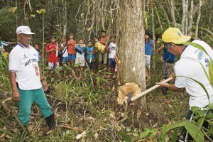 Os devotos seguem em procissão até a mata, onde cortam uma madeira que será usada na confecção do mastro de São Benedito, padroeira da Serra. Foto: Arquivo TN/Edson Reis