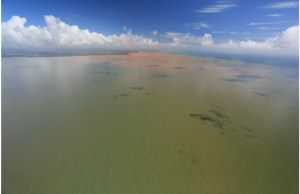 Dispersão da lama a partir da foz do rio Doce na direção sul hoje (23), onde está o litoral da Serra. Foto: Divulgação / Governança pelo rio Doce
