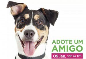 12400628_1164402353571694_271167905536903867_n