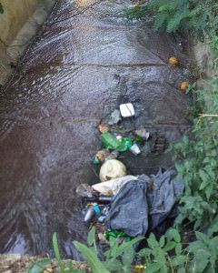 Córrego poluído na área do horto: mau cheiro e risco de doenças. Foto: Bruno Lyra 