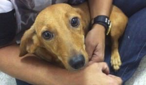 wpid-wp-1453324412812