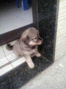 9df6e8b0-d1e4-41eb-98fc-98106130c86b